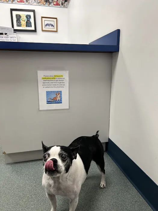 Animal Hospital of New Albany 12