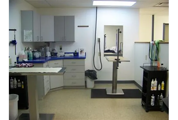 Animal Hospital of New Albany 12
