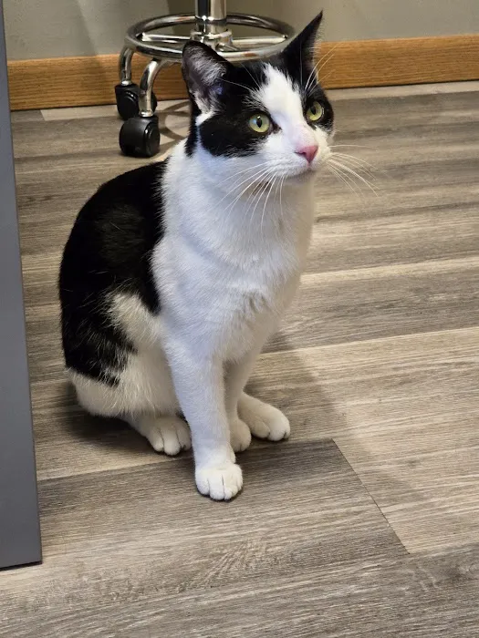 Aurora Urgent Veterinary Clinic 6