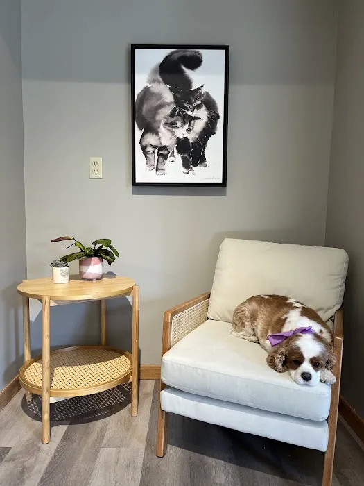 Aurora Urgent Veterinary Clinic 5