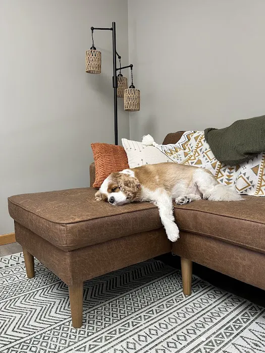 Aurora Urgent Veterinary Clinic 10