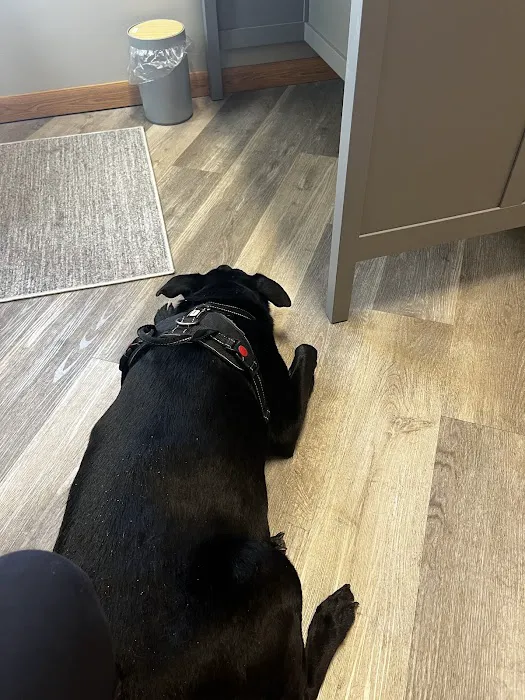 Aurora Urgent Veterinary Clinic 1