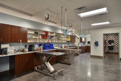 Lake Animal Hospital 5