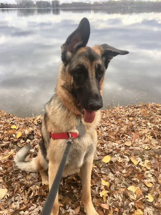 Lake Animal Hospital 3