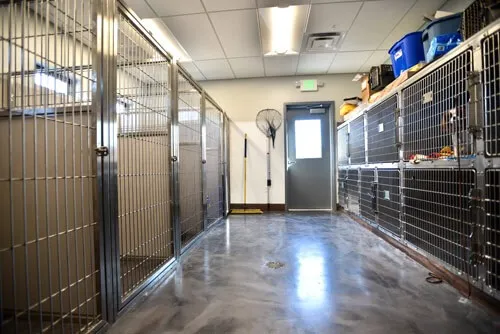 Lake Animal Hospital 7