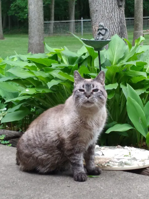 Lake Animal Hospital 9