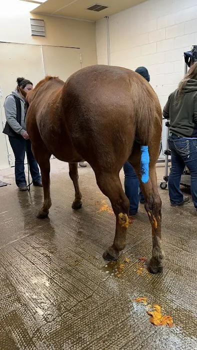Stillwater Equine Veterinary Clinic 1
