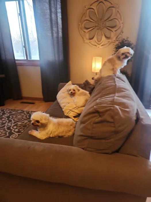 Banfield Pet Hospital 12