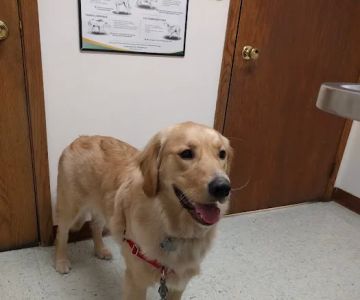 Centennial Veterinary Clinic