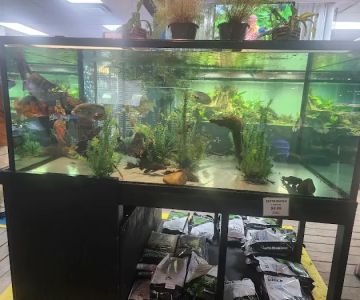 The Reef Aquarium Shop