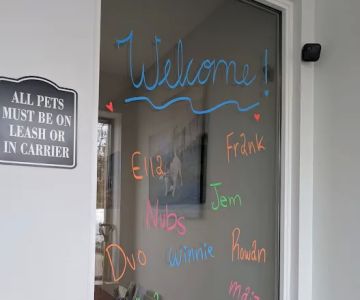 Twin Cities Animal Rehabilitation + Sports Medicine Clinic - North