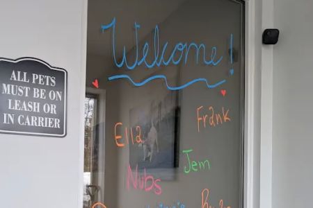 Twin Cities Animal Rehabilitation + Sports Medicine Clinic - North
