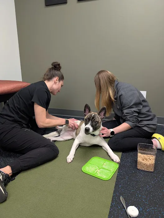 Twin Cities Animal Rehabilitation + Sports Medicine Clinic - North 12