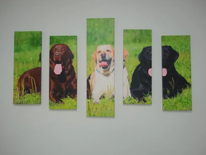 Blaine Central Veterinary Clinic 18