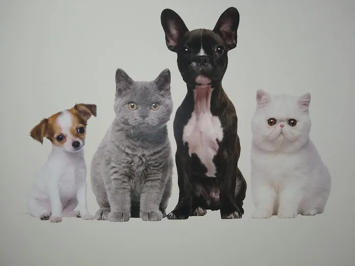 Blaine Central Veterinary Clinic 11