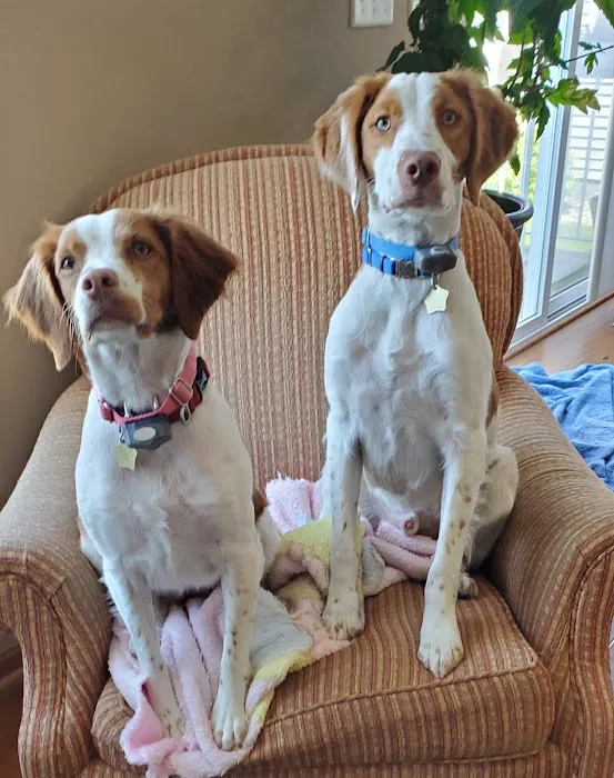 Blaine Area Pet Hospital PA 1