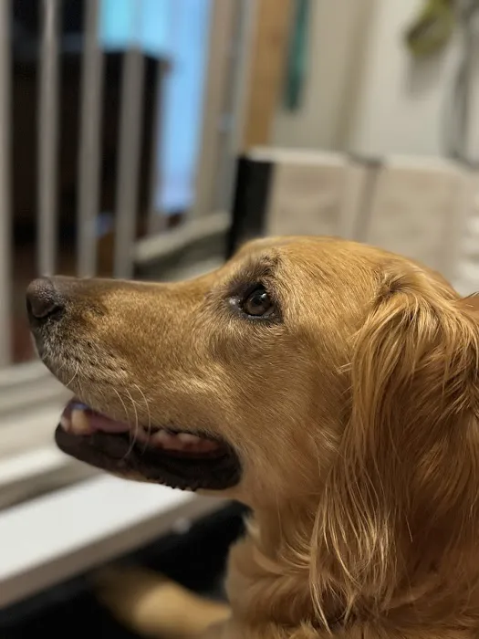 Blaine Area Pet Hospital PA 2