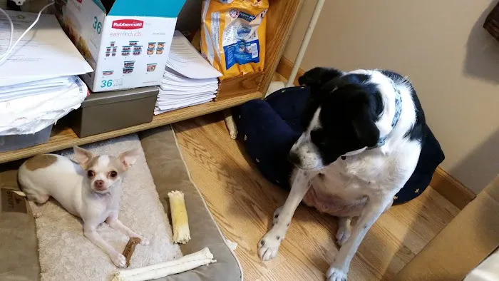 BluePearl Pet Hospital Blaine 12