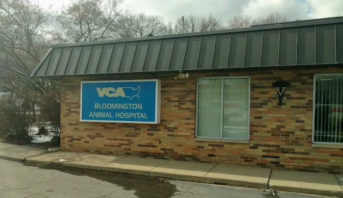 VCA Bloomington Animal Hospital 4