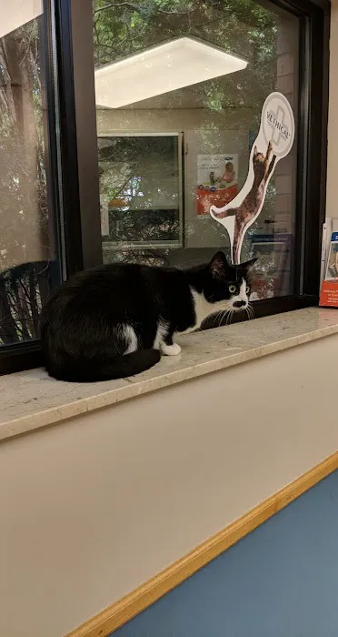 VCA Bloomington Animal Hospital 7