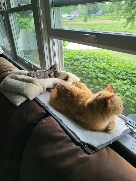 VCA Bloomington Animal Hospital 5