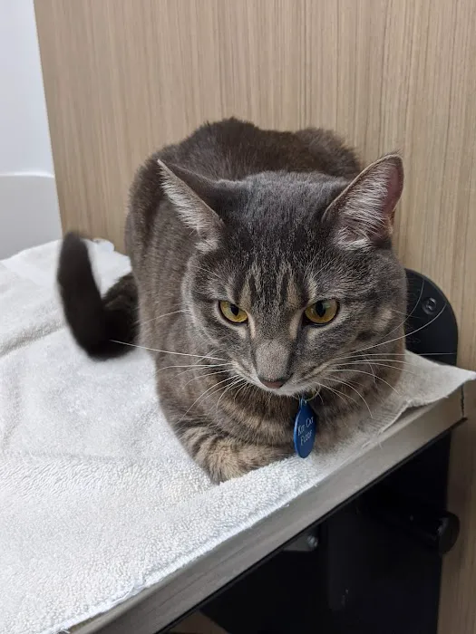 VCA Bloomington Animal Hospital 6