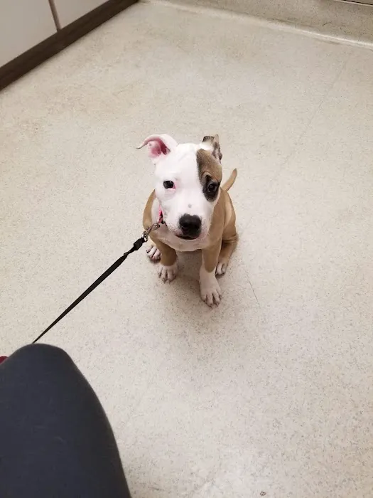 VCA Bloomington Animal Hospital 2