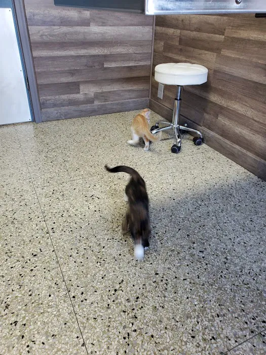 Nova Veterinary Clinic 1