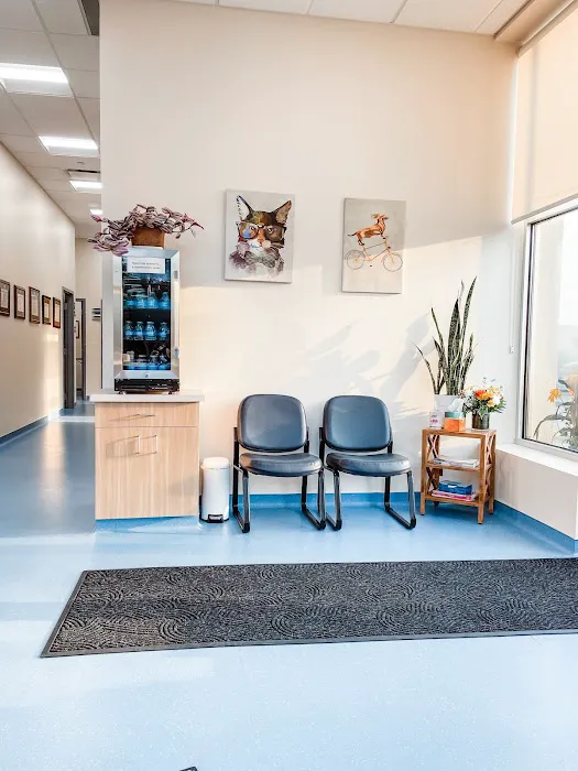 Nova Veterinary Clinic 5