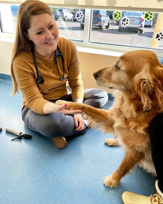 Nova Veterinary Clinic 6