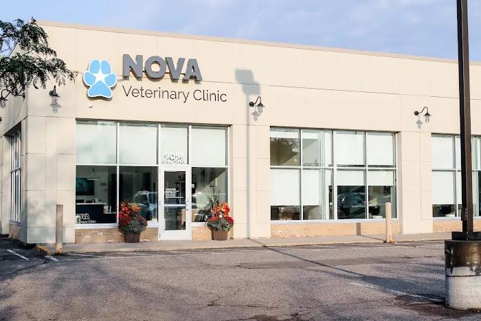 Nova Veterinary Clinic 7