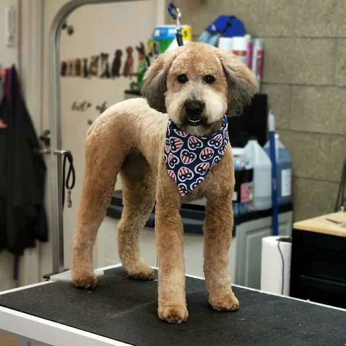 Edina Pet Hospital 9
