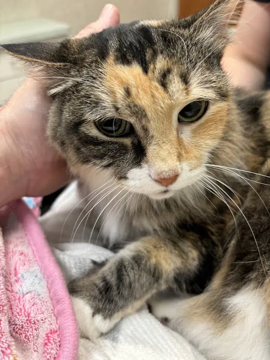 Edina Pet Hospital 3
