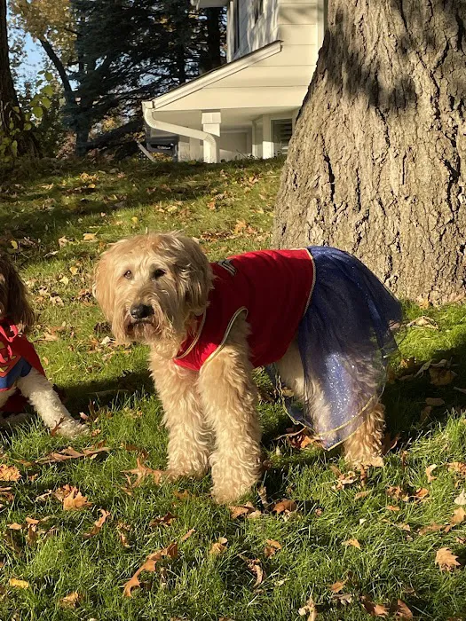 Edina Pet Hospital 2