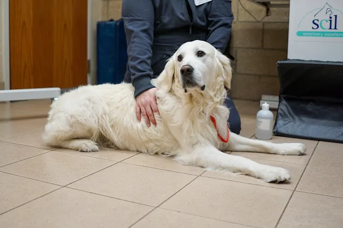 Edina Pet Hospital 4