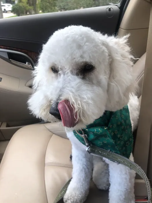 Edina Pet Hospital 7