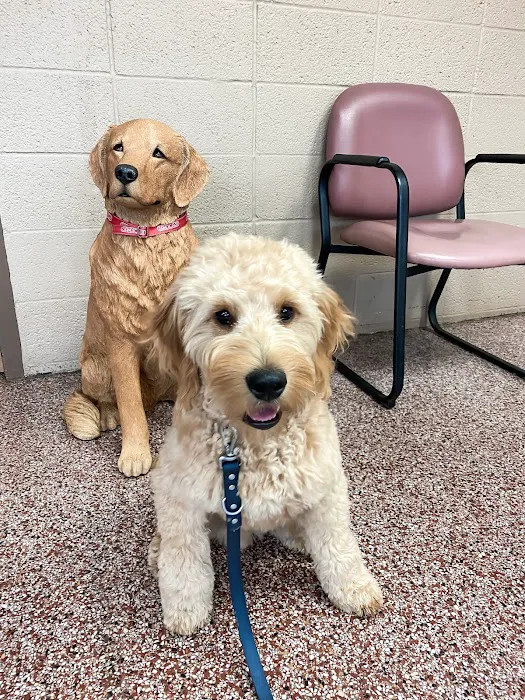 Hopkins Pet Hospital 9