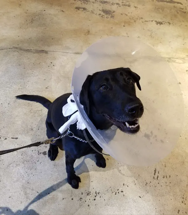 Shady Oak Veterinary Clinic 10