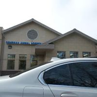 Gehrman Animal Hospital ico