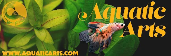 Aquatic Arts 9