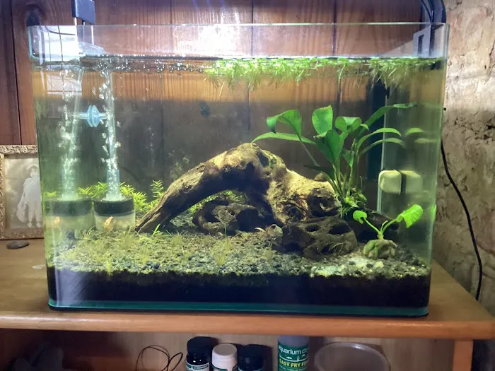 Aquatic Arts 6