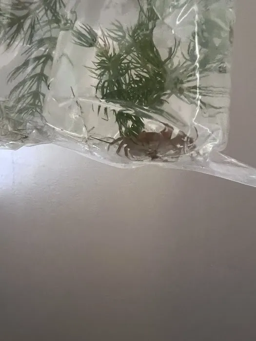 Aquatic Arts 7