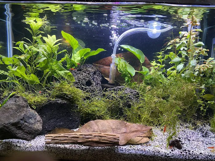 Aquatic Arts 5