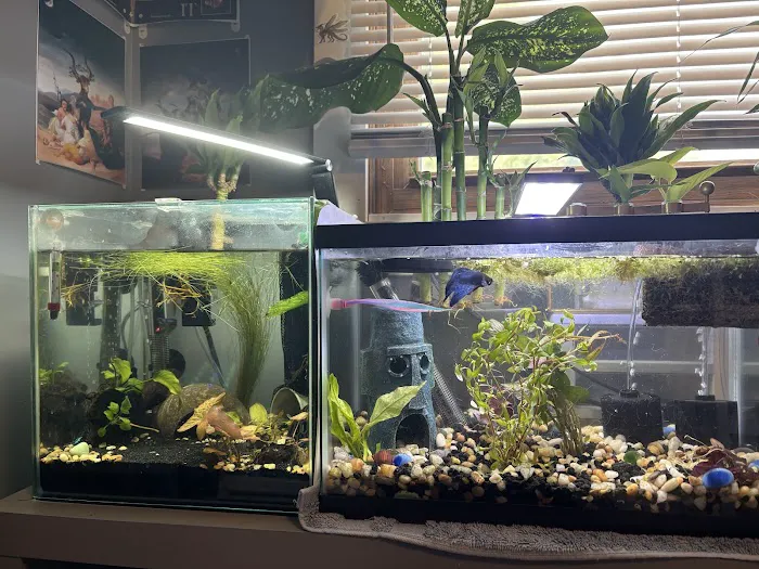 Aquatic Arts 8