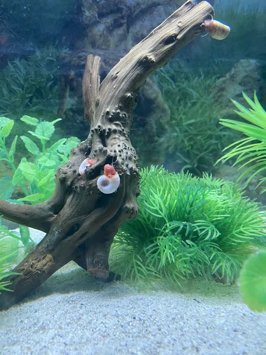 Aquatic Arts 4