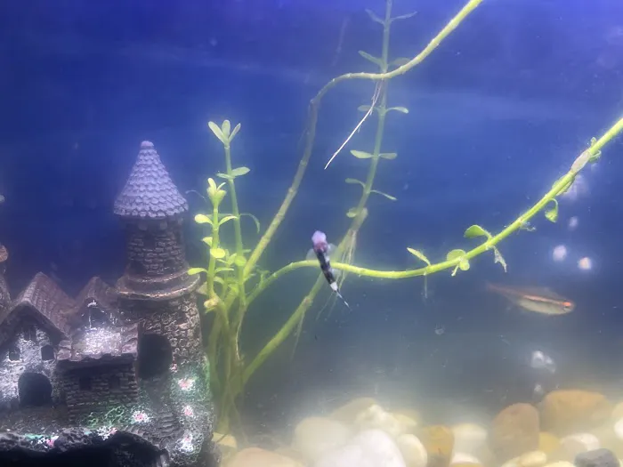 Aquatic Arts 3
