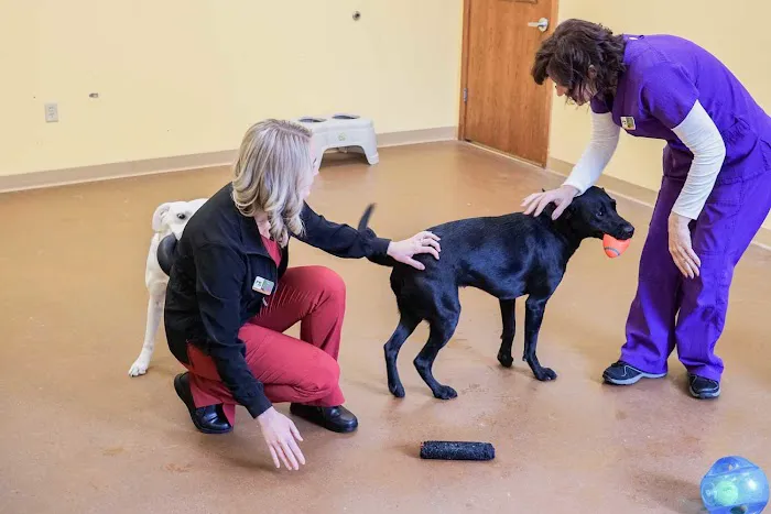 Plymouth Heights Pet Hospital 7