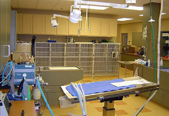 Plymouth Heights Pet Hospital 4