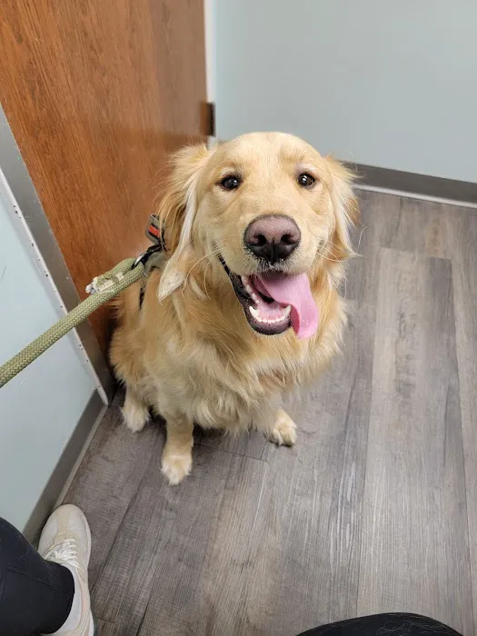 Bass Lake Pet Hospital 1