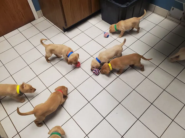 Bass Lake Pet Hospital 2